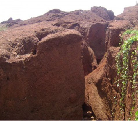 Xói mòn đất gây biến đổi hình dạng, mất chất dinh dưỡng của đất.